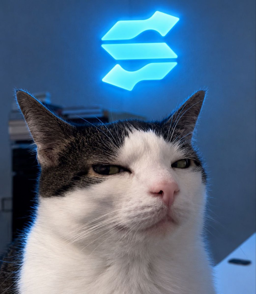 XSTONKLANA's tweet photo. When someone says their not into stonks or stonklana https://t.co/Y0ThDvhKDQ