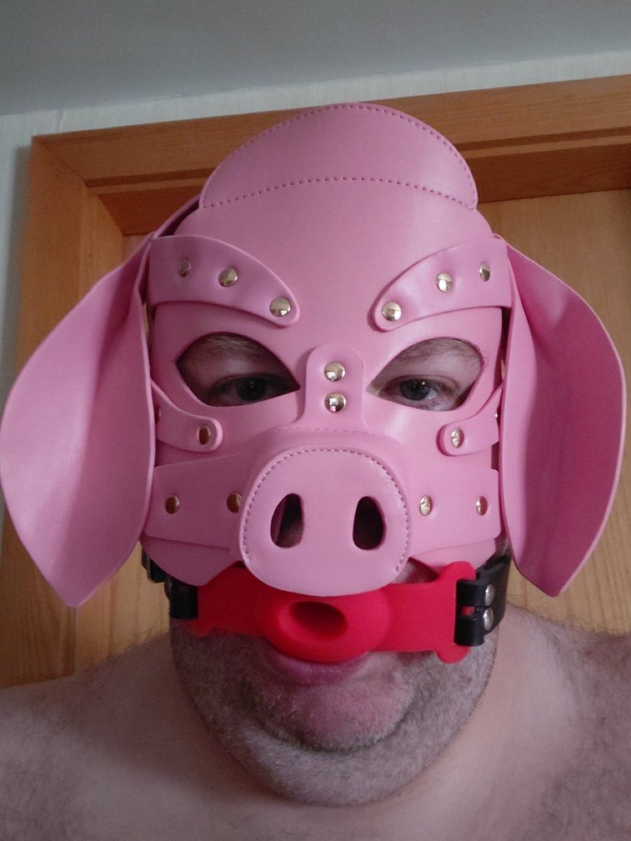 _dumbpaypig's tweet photo. Any girl need a pathetic pig? https://t.co/Xg0wLaZepx