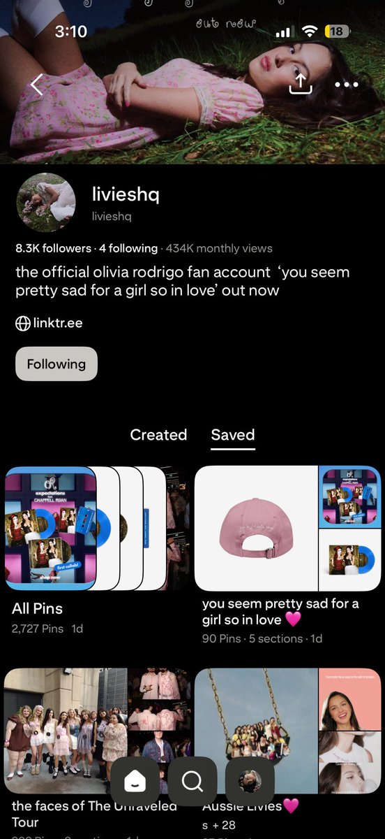 livstraitor's tweet photo. .@livieshq I am begging you guys to let me run your pinterest acc at this point. the second pic is my resume https://t.co/IbMWDoxUku