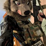 Photo by theSecurityWolf➡️MFF (@theSecurityWolf)