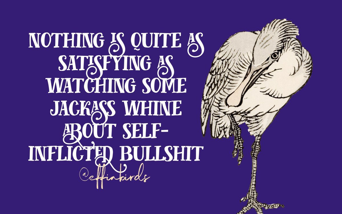 EffinBirds's tweet photo. https://t.co/LdOcNtGLwD