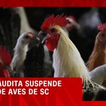 Photo by CNN Brasil (@CNNBrasil)