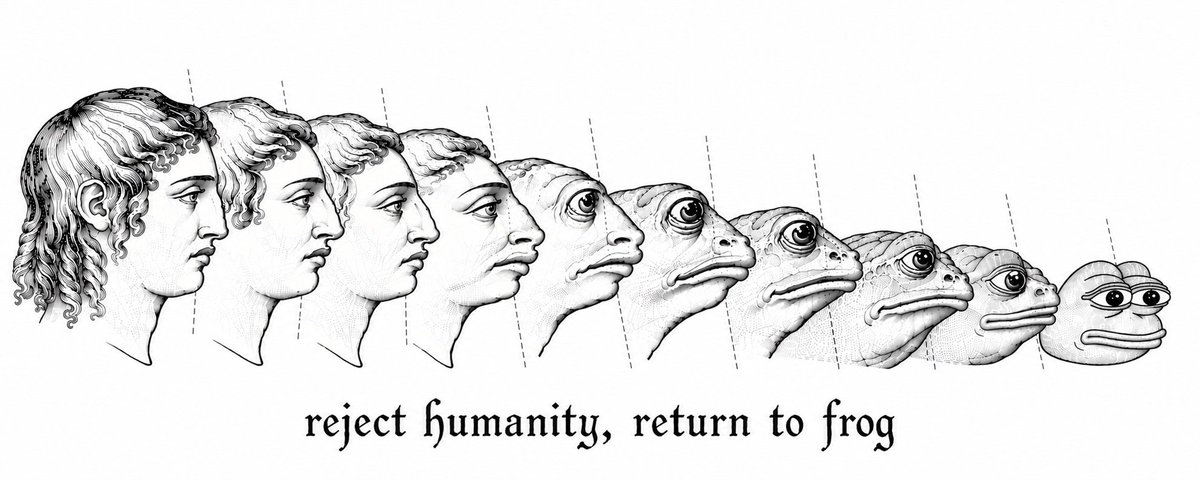thefinalpepesol's tweet photo. Return to frog https://t.co/1evuT1kHtB