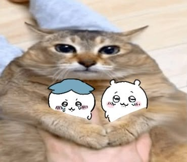 lovesickdoe's tweet photo. https://t.co/aYFQEvAEHl