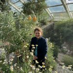 Photo by MO Botanical Garden (@mobotgarden)