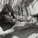 Photo by Linda A. Markwell (@markwellla)