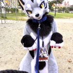 Photo by るん (Run)→Infurnity (@run_charizard)