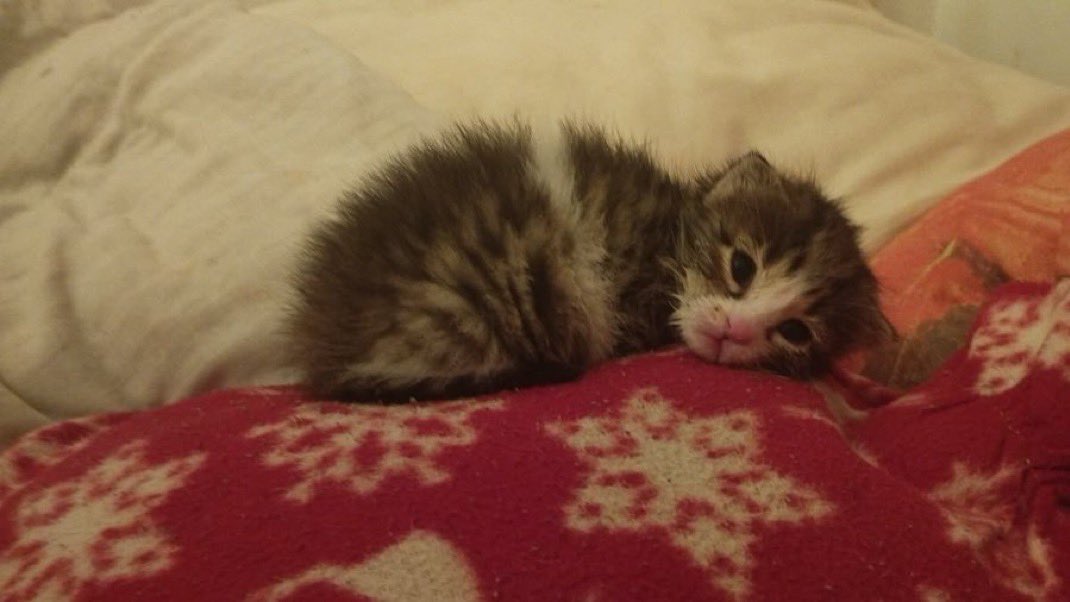 Bicourtd's tweet photo. Nighty nighhtt https://t.co/UV81VBZ3FM