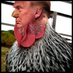 Photo by The Shouty %&#@! Grawlix™ (@Mark____Edwards)