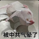 Photo by 法家创始人，黑党见到我先磕头认主 (@th0ox1)