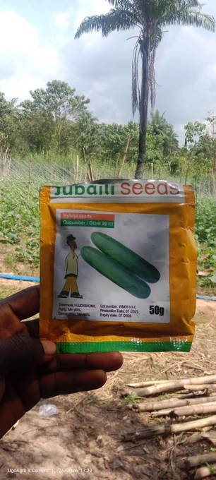 Image from The Agri-Contractor | Farmily Field Farms (@UgoAgro_)