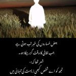 Photo by Asma Rajput (@As01Ra)