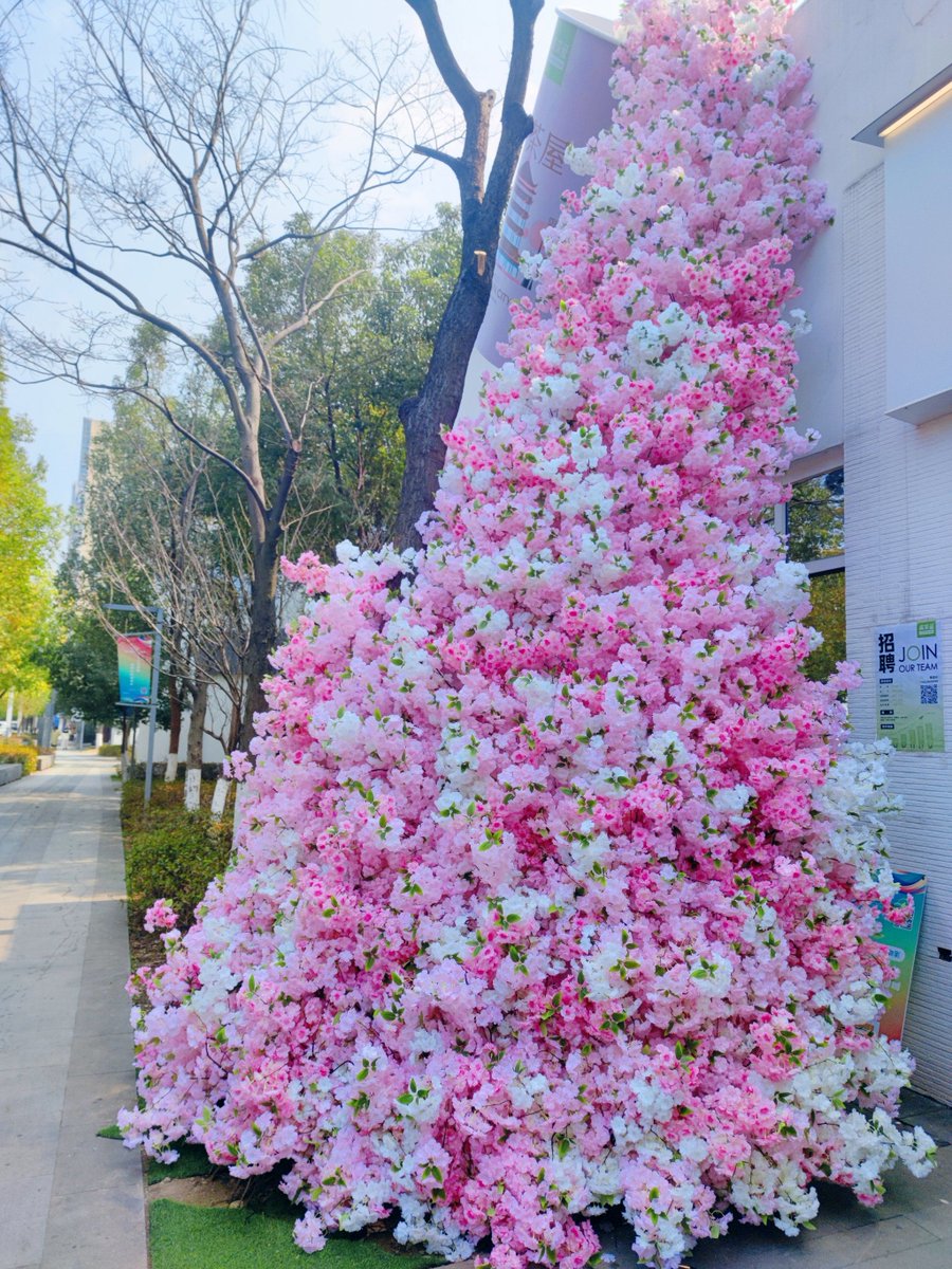 vv2z6l's tweet photo. [員倬園さん、素敵な1日を！]， https://t.co/PfJYdb1iSW