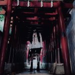 Photo by 泉 (@xva1s)