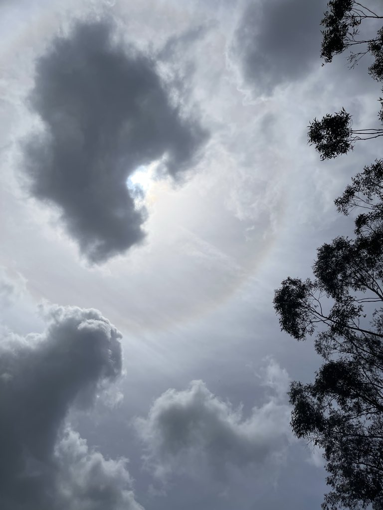 TrixTur11's tweet photo. Brisbane 30/10/26. The sky was absolutely disgusting, and then these two decided to add to it, sky bastard🤢🤬🤬🤬🤬 https://t.co/PNV5AIbbPq