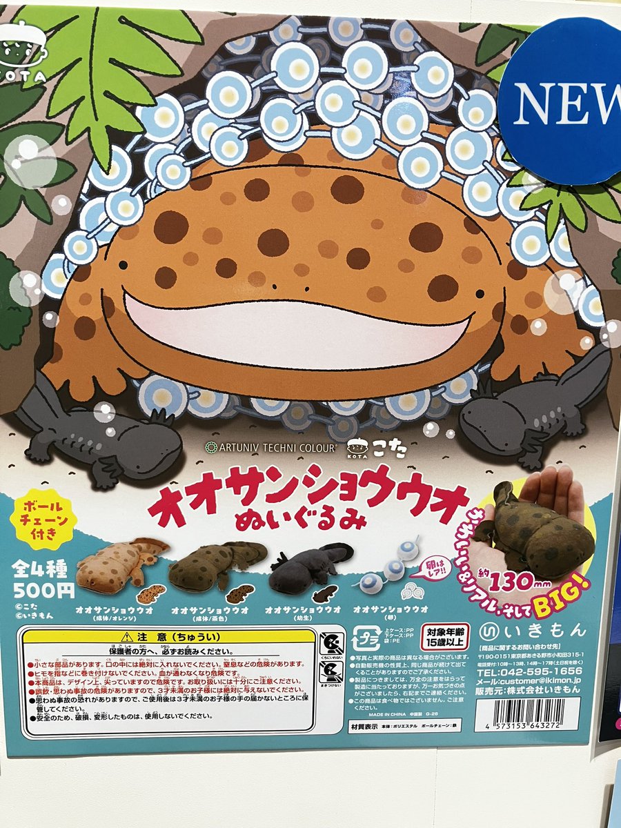 THESTUDYROOMuen's tweet photo. NEW！！ガチャ入りました！！

絵本作家こたさんのオオサンショウウオぬいぐるみです！
まんまるなフォルムが可愛いですね☺️
ラインナップは4種でレア枠の卵から成体まで居ます

スタッフ🍀 https://t.co/nqPemDb9o9