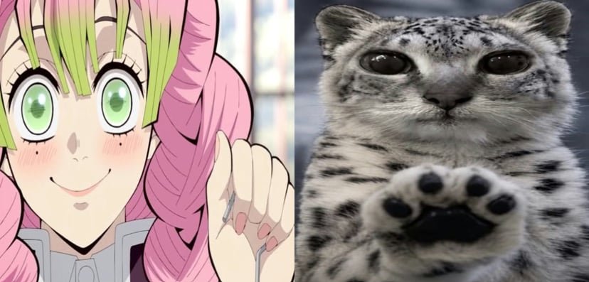 allformitsurism's tweet photo. *paws at you* sakura mochi pls
*paws at you* do u have sakura mochi
*paws at you* i love sakura mochi
*paws at you* 5 plates of sakura mochi
*paws at you* where is my sakura mochi https://t.co/J6RCATzcm6