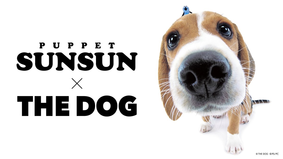 sunsun_info's tweet photo. 【PUPPET SUNSUN × THE DOG】

10/31(土)12時より、
「PUPPET SUNSUN × THE DOG」コラボアイテムをオンラインストアで販売いたします🐾

https://t.co/Eg5bs3uwE5

※数に限りがございますのでご了承ください。
※商品画像はイメージです。

@thedog_official https://t.co/6srrNjoq9b