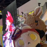 Photo by 0 - CA12_SUN_i17-18 (@znanimo)