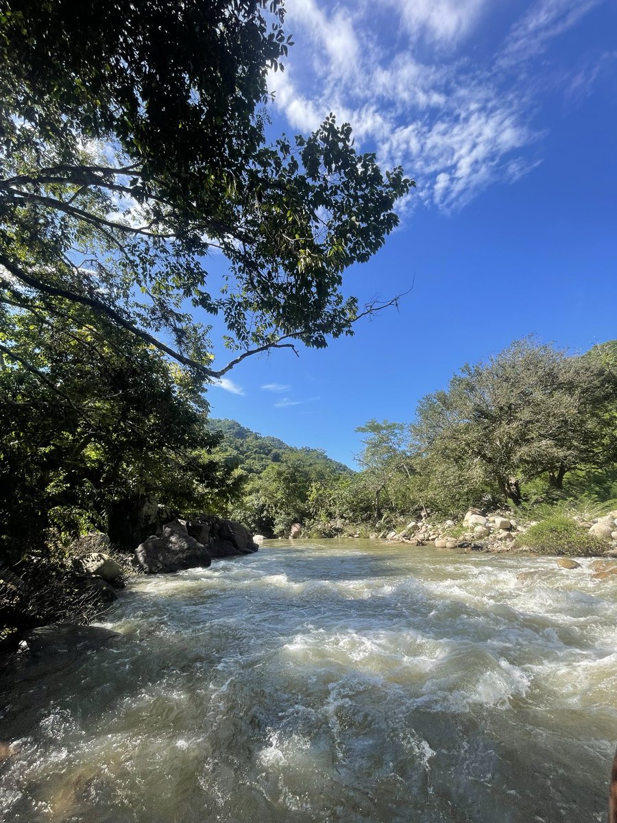 mojountamed's tweet photo. River baths feel other worldly 💫 https://t.co/RpCZIxzsjL