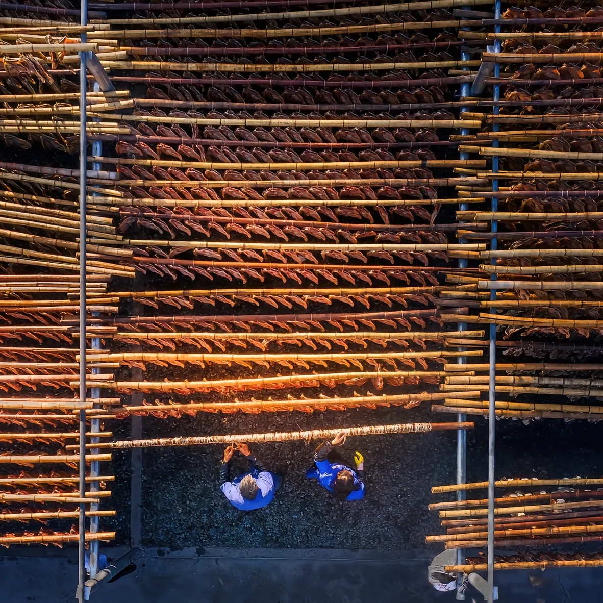 hijiangxi's tweet photo. Aroma of pressed salted duck | Suichuan, Ji’an, Jiangxi
板鸭飘香 江西吉安遂川
#China #Jiangxi #JiangxiViews #秋天的回响 https://t.co/xTxt8lkkjk