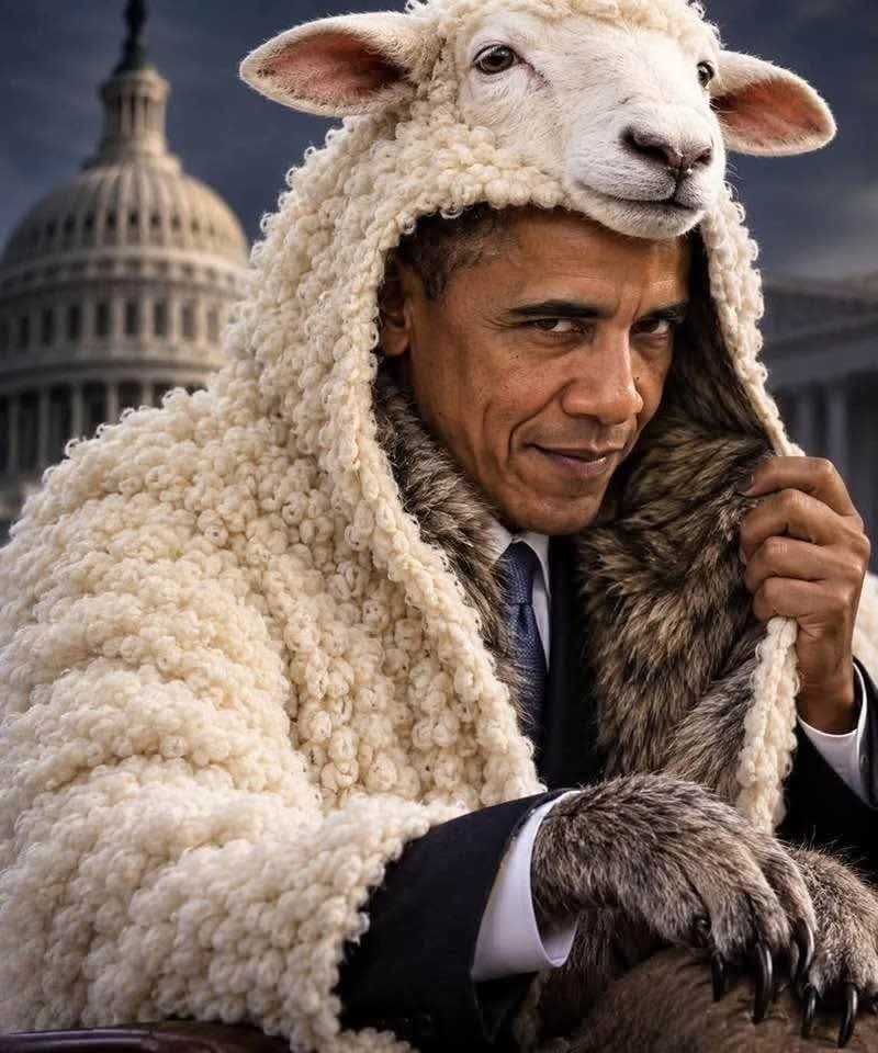 AmesStraight's tweet photo. I never thought I’d see a former president spend his retirement campaigning for politicians whose policies undermine the country that gave him everything.

Yet here’s Obama, still selling the same BS—and people are still buying it. https://t.co/DbvJWC37En
