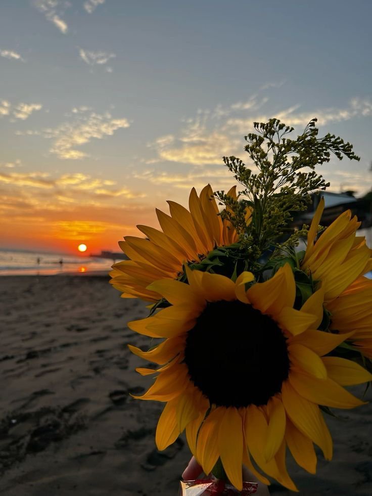 FLOWERS3700's tweet photo. https://t.co/3vPGo2tudH