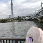 Photo by Emu (@FakeFanSyndrome)