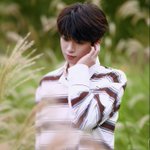 Photo by เจ้าก้อนปุกปุย🐣🐟🍃30.24.22:スリープモード (@flukelism)