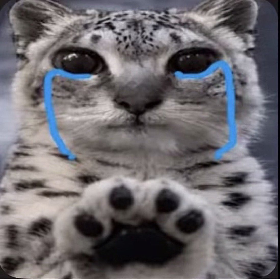 ryonfatryon's tweet photo. life as of lately https://t.co/qnvQlLaYGu