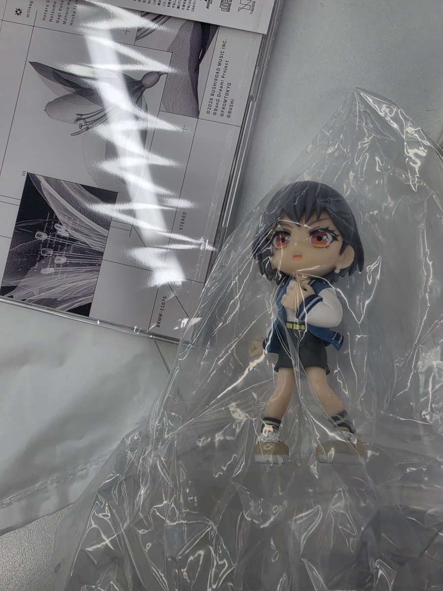 shrimp_52282's tweet photo. I'm supposed to only buy that mygo figurine thing but they put danran and millsage single on stock without any announcements so I'm broke again😭 anyway hi Tomori https://t.co/9HHbbGP0mN