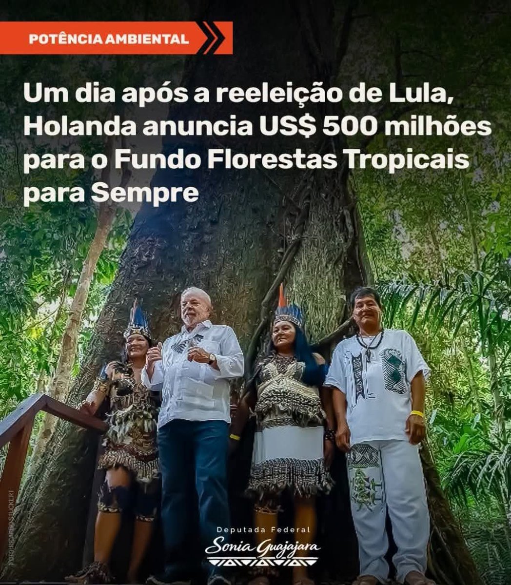 arc_maiana's tweet photo. Só estavam esperando saber que seria @LulaOficial o presidente...

#DeportTheBolsonaros https://t.co/XzhJIIdXat