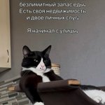 Photo by 🐾 Borsique 🐾 🐱 (@borsique)
