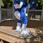 Photo by Ron Wolf 🏳️‍🌈🇨🇦 🔜 @MFF, FE, VF, FWA (@RonWolfBlue)