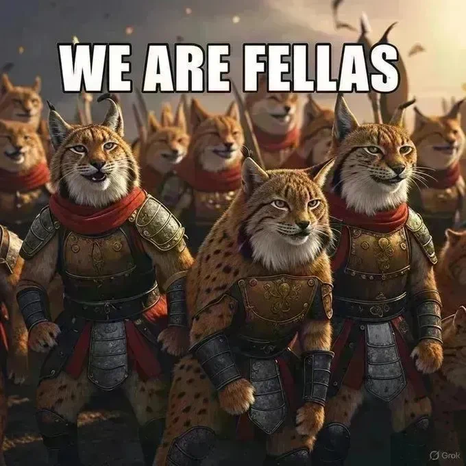 Image from Hakki K 🏴☠️🇫🇮🇪🇺🇺🇦🦝 (@KreusHakki)