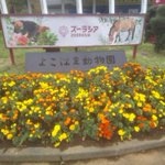 Photo by 掻郡 (@algotaxis)