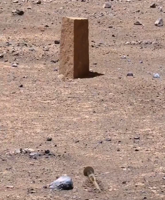 AssMaster5000 on X: 