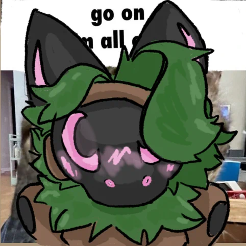 Image from Skitty (@CoolestSkitto)