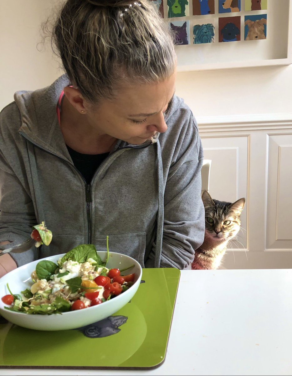 JaneFallon's tweet photo. My phone threw up these old pictures of Pickle. 😂😂😂❤️❤️ She’s just the best thing in the world.
1. ‘Just keeping you company. Not considering stealing your lunch at all.’
2. ‘Why is my hair falling out when it’s freezing outside???’ https://t.co/kvCZ07uhTY