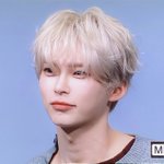 Photo by ꒰ᐢ..ᐢ꒱🪽 (@haomcats)