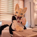 Photo by 빵용🍞(パンヨン/ Breadragon) (@Breadragon)
