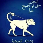 Photo by siegliar I عبدالله (@sieghonest)