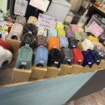 Photo by 海無し県の小さな繁殖場 (@uminashifarm)