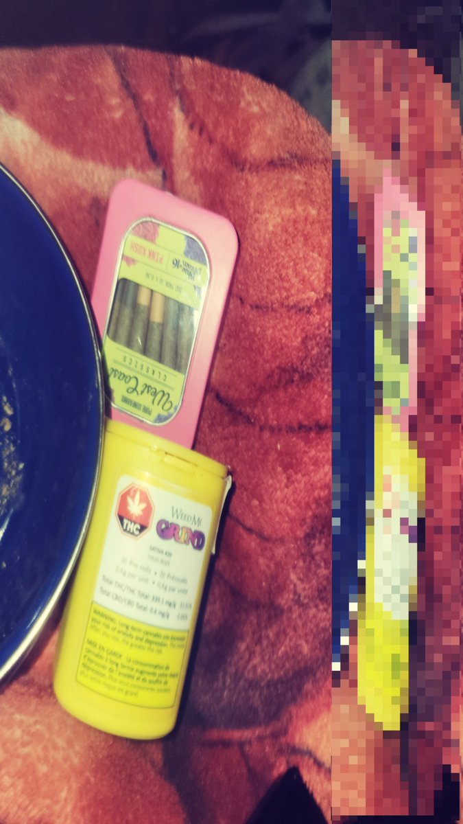 adamzzpaw's tweet photo. weed :3 https://t.co/cvc02Pb0Qg