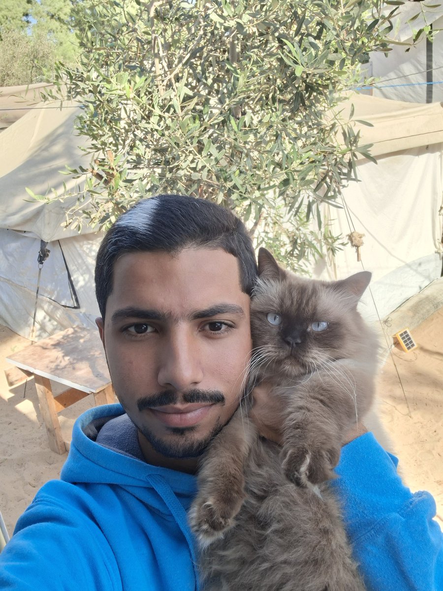 MustafaAmeen30's tweet photo. My cats and i are still alive in Gaza.🇵🇸

If you see this photo, please don't scroll past in silence.

Write anything - even a single dot means so much to us and reminds us that we are not alone.🥹💔🙏 https://t.co/eYxTpChYjE