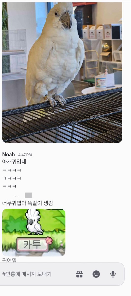 N0ooooah's tweet photo. 아 ㅋ ㅋ ㅋ ㅋ ㅋ ㅋ ㅋ. 펫 귀엽더했더니 길드원이 익숙한 애 보내주심 https://t.co/v6O5vSS31U