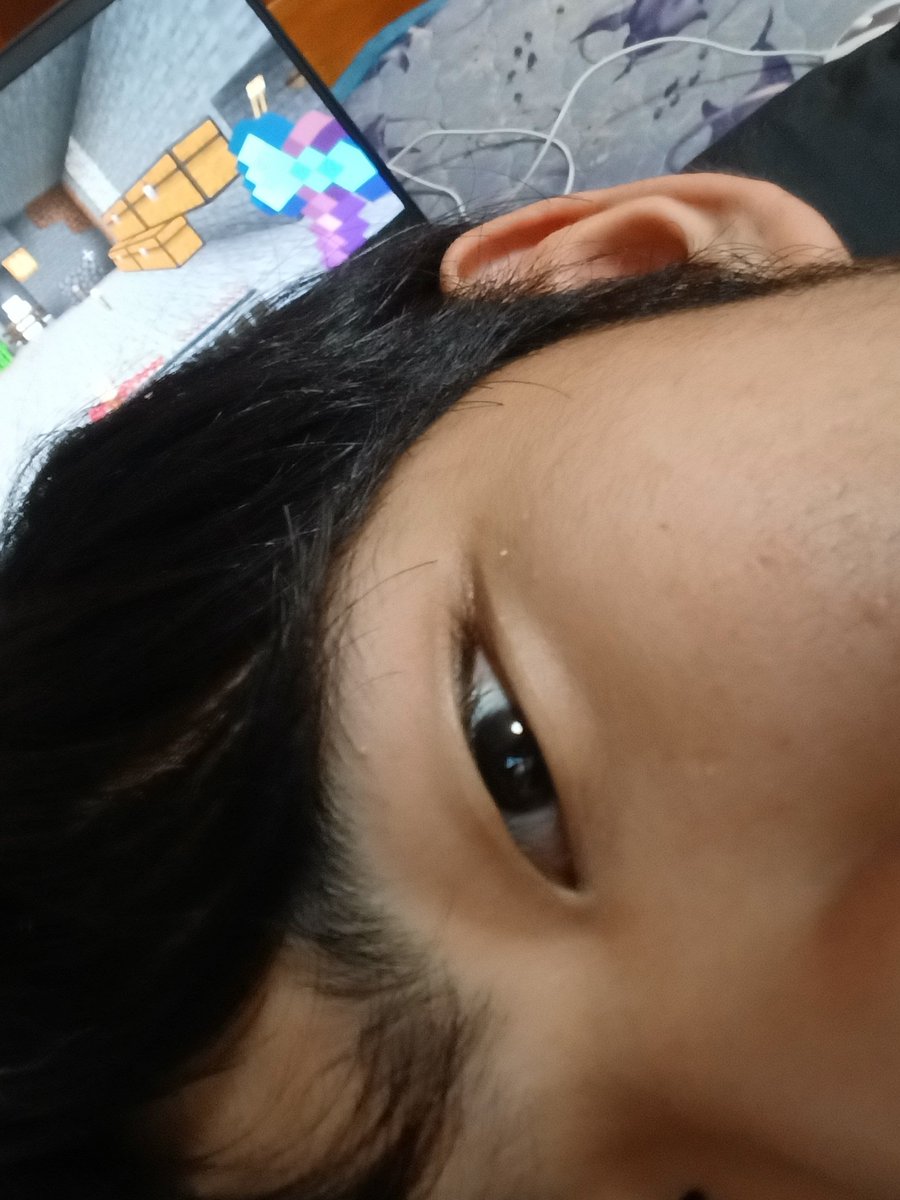 nyu__toM's tweet photo. マイクラめっちゃやってる https://t.co/XXICert6ji