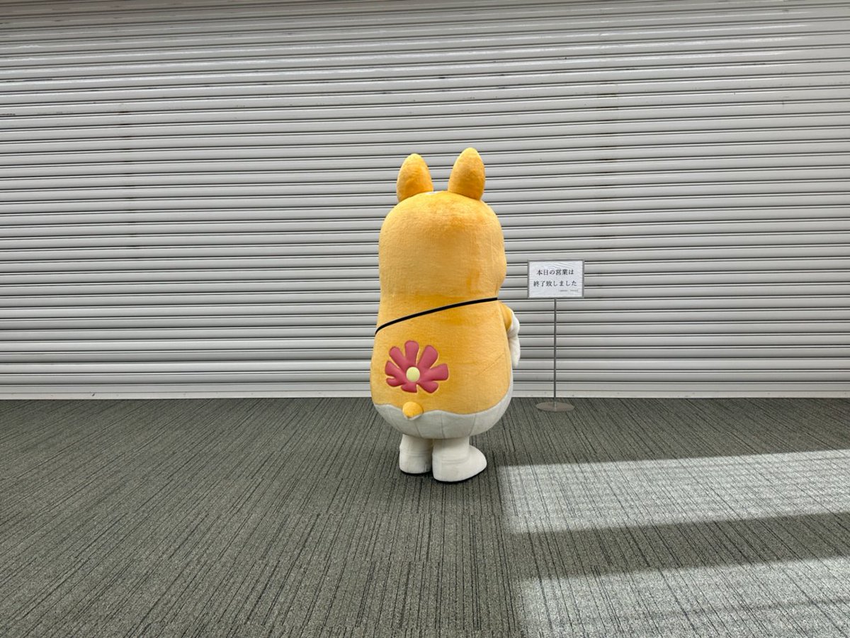 chibakogin's tweet photo. 15時1分に着いた人。
#地味ハロウィン https://t.co/BhufSPDukm
