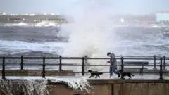 RojaButaca's tweet photo. Storm Boelo leaves around 90,000 homes without power in Scotland and northern England after fierce winds. Clean-up is underway. #StormBoelo #UKWeather

https://t.co/PbcYyG97VS https://t.co/t83JwoKbPd
