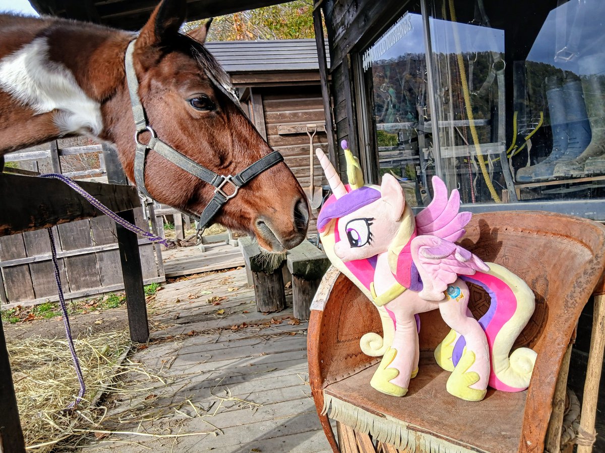 pilicacall1118's tweet photo. 🐴 : アッ‼️・・・あなたは⁉️
Cadance : こんにちは､プリンセスケイデンスよ💙
🐴 : ホンモノ？
Cadance : チェンジリングではありません https://t.co/6t7uQjlaRs